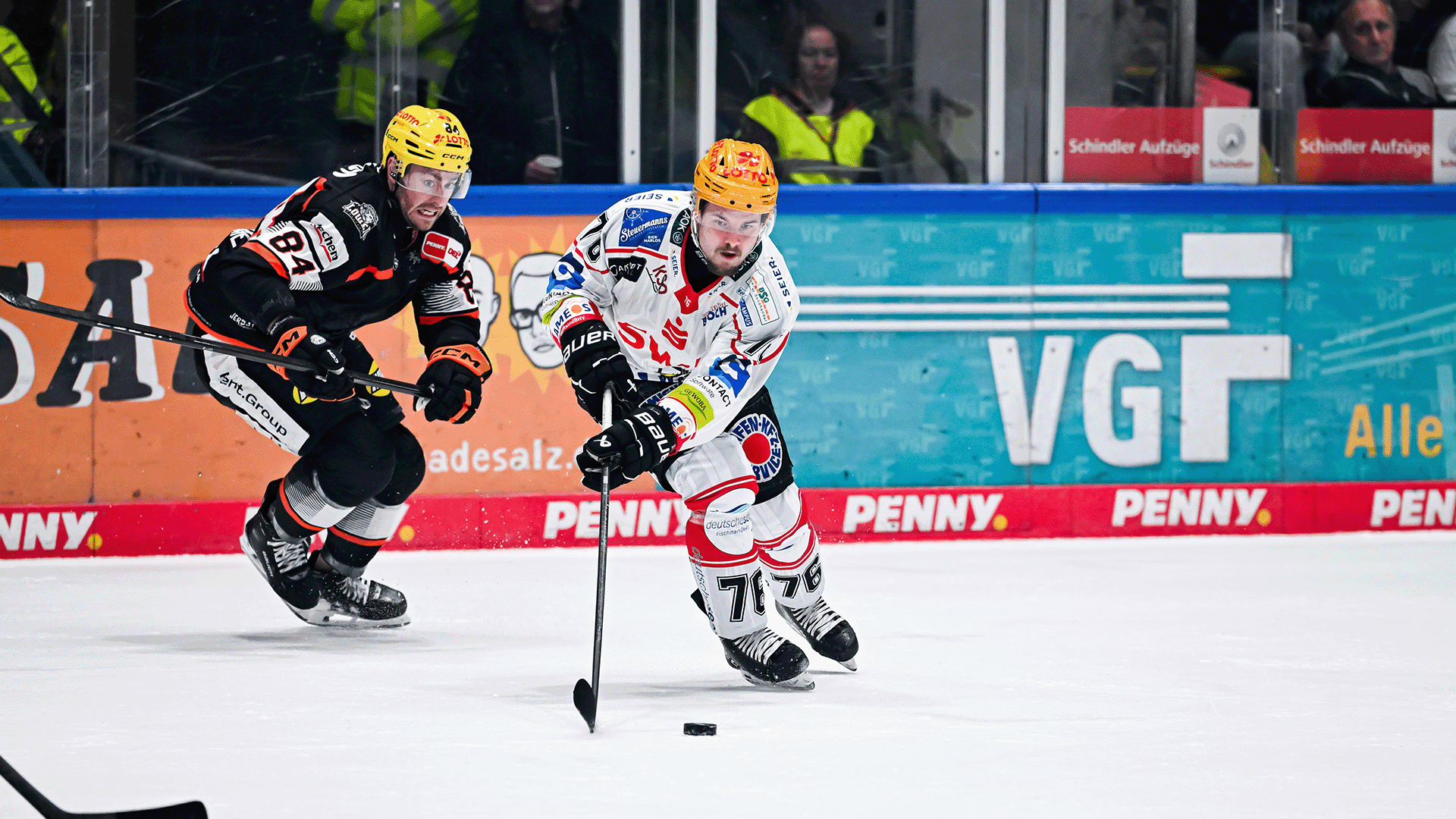 Löwen Frankfurt gg. Pinguins Bremerhaven